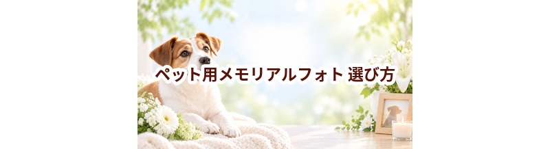 ペット用メモリアルフォトの選び方｜自宅供養で後悔しないためのポイント