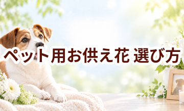 ペット用お供え花の選び方｜自宅供養で後悔しないためのポイント