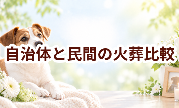 自治体のペット火葬とは？民間業者との費用・返骨の違いを比較