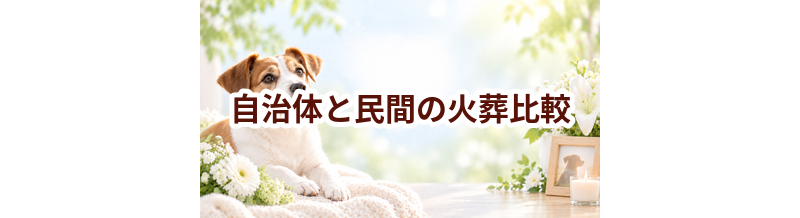 自治体のペット火葬とは？民間業者との費用・返骨の違いを比較