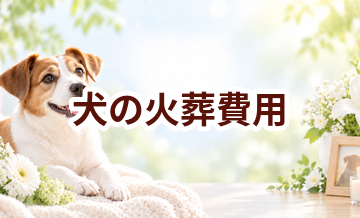 犬の火葬費用はいくら？体重・火葬方法別の料金をわかりやすく解説