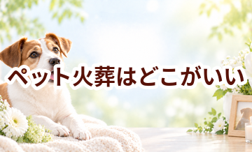 ペット火葬はどこがいい？自治体・霊園・訪問火葬の違いを比較