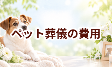 ペット葬儀の費用はいくら？火葬・納骨・供養まで総額を整理