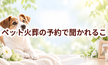 ペット火葬の予約で聞かれることは？電話前に準備する情報