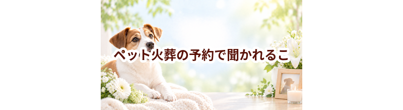 ペット火葬の予約で聞かれることは？電話前に準備する情報