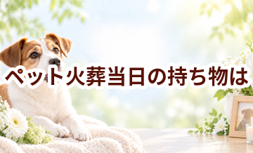 ペット火葬当日の持ち物は？一緒に入れられるものも確認