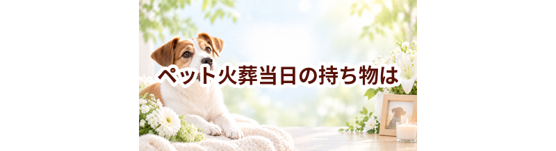 ペット火葬当日の持ち物は？一緒に入れられるものも確認
