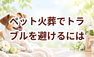ペット火葬でトラブルを避けるには？契約前に確認したいこと