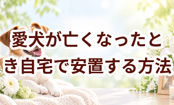 愛犬が亡くなったとき自宅で安置する方法｜火葬までに準備すること