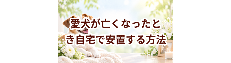 愛犬が亡くなったとき自宅で安置する方法｜火葬までに準備すること