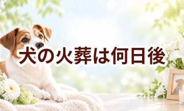 犬の火葬は何日後？安置できる期間と予約までの流れ
