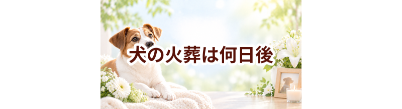 犬の火葬は何日後？安置できる期間と予約までの流れ