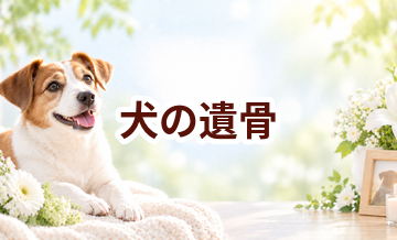犬の遺骨はどうする？自宅供養・納骨・散骨の選択肢