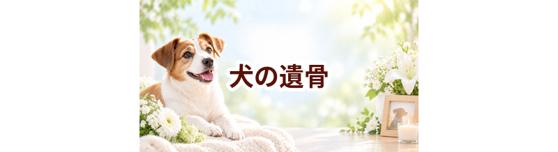 犬の遺骨はどうする？自宅供養・納骨・散骨の選択肢