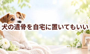 犬の遺骨を自宅に置いてもいい？保管と供養の考え方