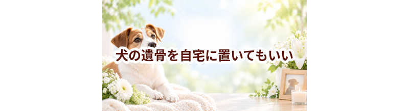 犬の遺骨を自宅に置いてもいい？保管と供養の考え方