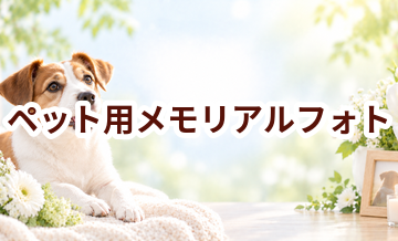 ペット用メモリアルフォトはいくら？価格帯と選ぶ前に確認したいこと
