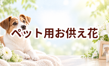ペット用お供え花はいくら？価格帯と選ぶ前に確認したいこと