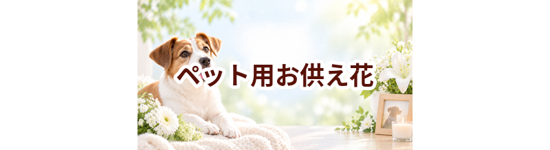 ペット用お供え花はいくら？価格帯と選ぶ前に確認したいこと