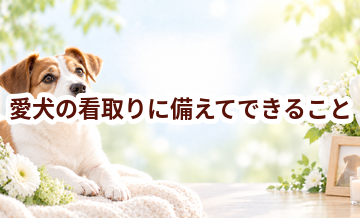 愛犬の看取りに備えてできること｜家族で考えておきたい選択肢