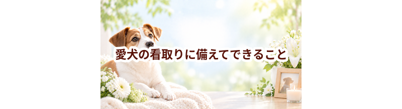 愛犬の看取りに備えてできること｜家族で考えておきたい選択肢