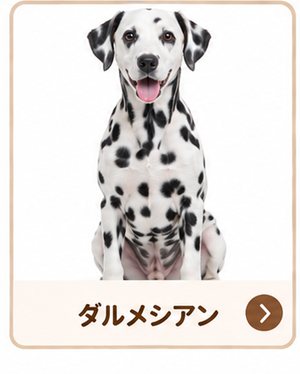 ダルメシアン