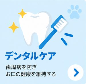 デンタルケア