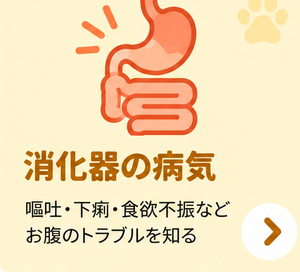 消化器の病気