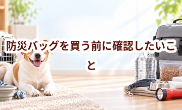 防災バッグを買う前に確認したいこと｜愛犬と暮らしに合うかチェック