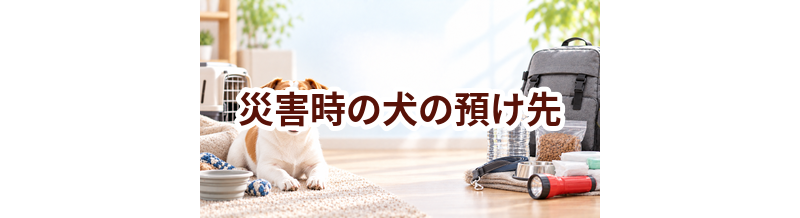 災害時の犬の預け先はいくら？費用と予約前の確認ポイント