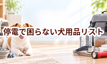 停電で困らない犬用品リスト｜持ち出し優先度で整理