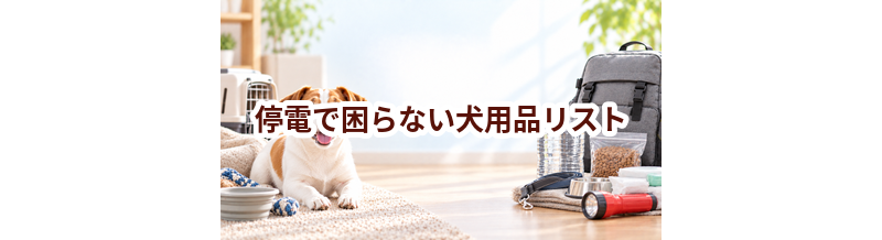 停電で困らない犬用品リスト｜持ち出し優先度で整理