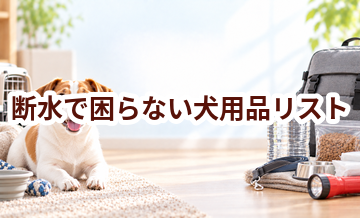 断水で困らない犬用品リスト｜持ち出し優先度で整理