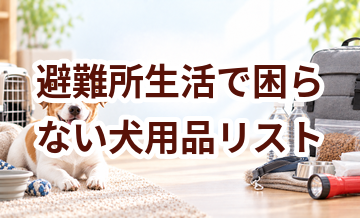 避難所生活で困らない犬用品リスト｜持ち出し優先度で整理