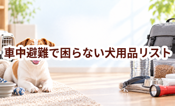 車中避難で困らない犬用品リスト｜持ち出し優先度で整理