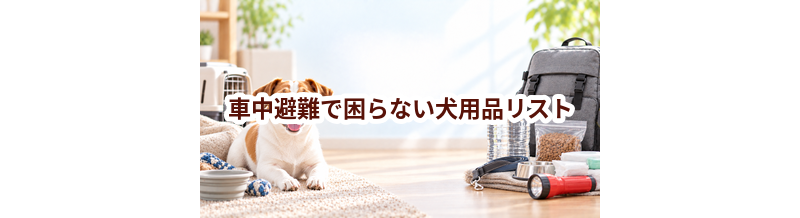 車中避難で困らない犬用品リスト｜持ち出し優先度で整理