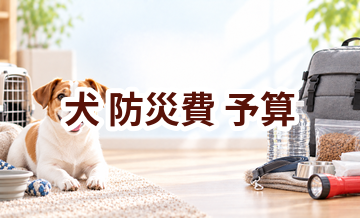 犬の防災費で後悔しないために｜予算を決める前のチェック項目