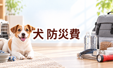 犬の防災費はいくらかかる？年間予算の立て方と節約ポイント