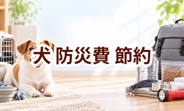 犬の防災費を抑えるには？無理なく続ける節約方法