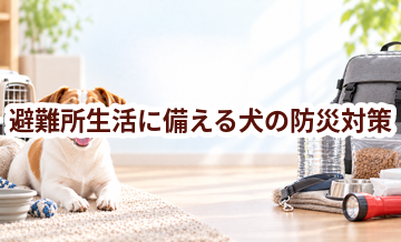 避難所生活に備える犬の防災対策｜必要なものと事前準備