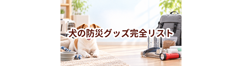 犬の防災グッズ完全リスト｜避難時に本当に必要なもの