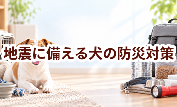 地震に備える犬の防災対策｜必要なものと事前準備