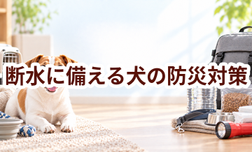 断水に備える犬の防災対策｜必要なものと事前準備