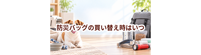 防災バッグの買い替え時はいつ？安全に使うためのチェックポイント