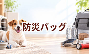 防災バッグはいくら？価格帯と長く使うための選び方