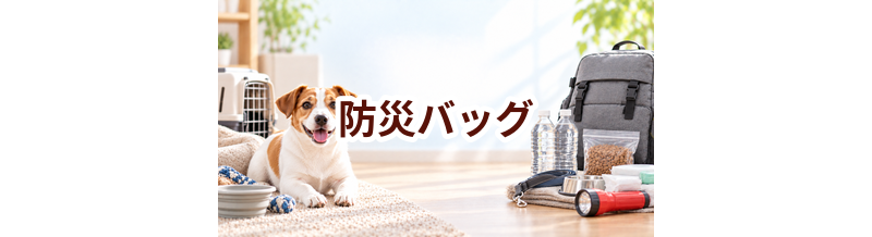 防災バッグはいくら？価格帯と長く使うための選び方