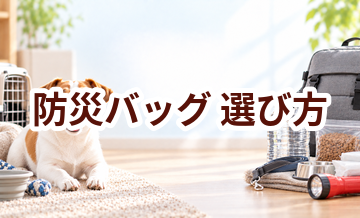 防災バッグの選び方｜サイズ・使いやすさ・価格で失敗しないポイント