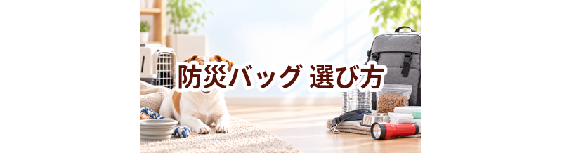 防災バッグの選び方｜サイズ・使いやすさ・価格で失敗しないポイント