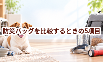 防災バッグを比較するときの5項目｜価格・安全性・手入れのしやすさを確認