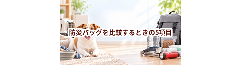 防災バッグを比較するときの5項目｜価格・安全性・手入れのしやすさを確認